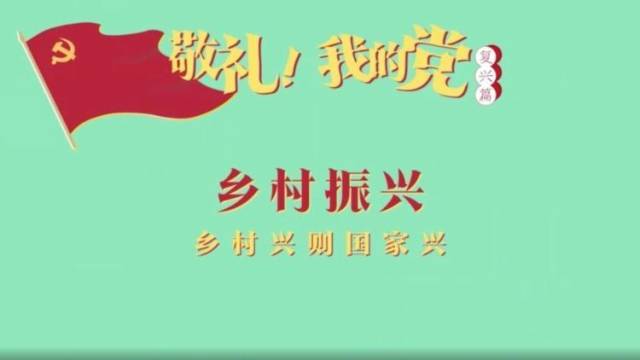 《敬礼！我的党》第九十九集：乡村振兴