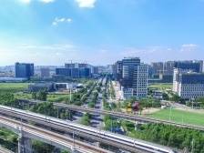 南方观察｜奋进，领头羊！