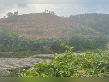 东航黑匣子被寻获背后:土壤吸水量大或致滑坡,边搜救边排水