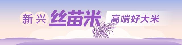 春耕忙！新兴丝苗米产业园开展农机社会化服务，助推产业高质量发展
