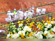 对话参与东航飞行事故志愿服务的心理咨询师:很多人愿尽份力