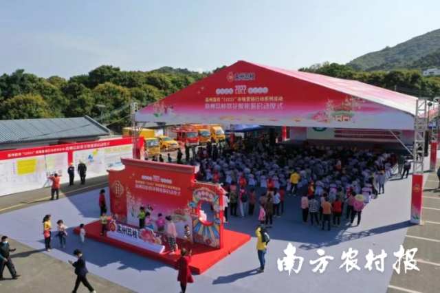 3月,，高州荔枝舉辦“云上”賞花嘆蜜游