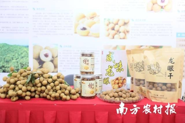 “儲(chǔ)良龍眼出高州 高州龍眼甲天下”