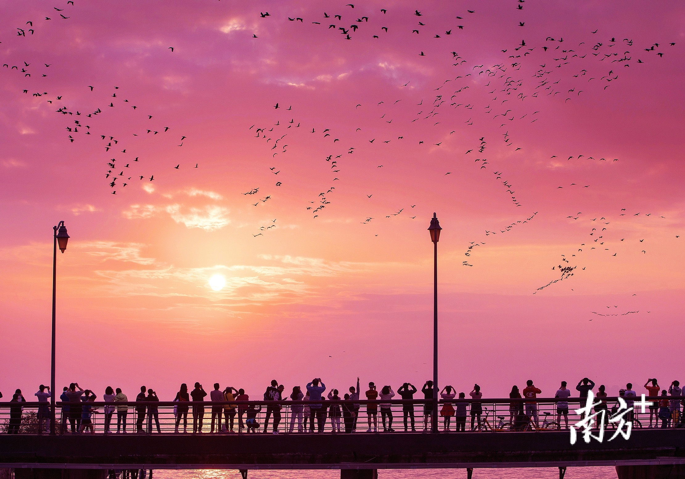 螢幕截圖 2022-04-29 07.21.13.png