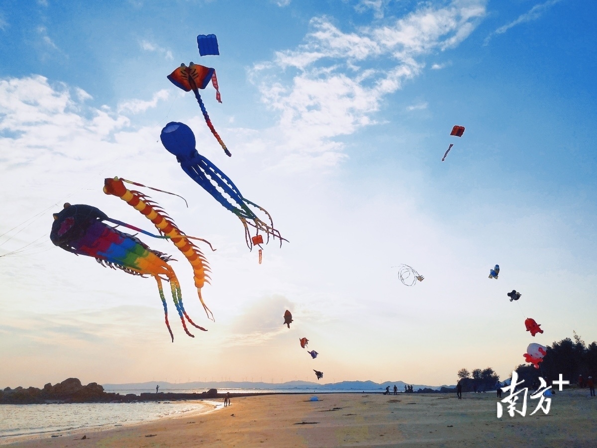 潮州开展“美丽海湾”生态环保志愿活动。