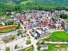 林 峰：乡村振兴是共同富裕的必由之路