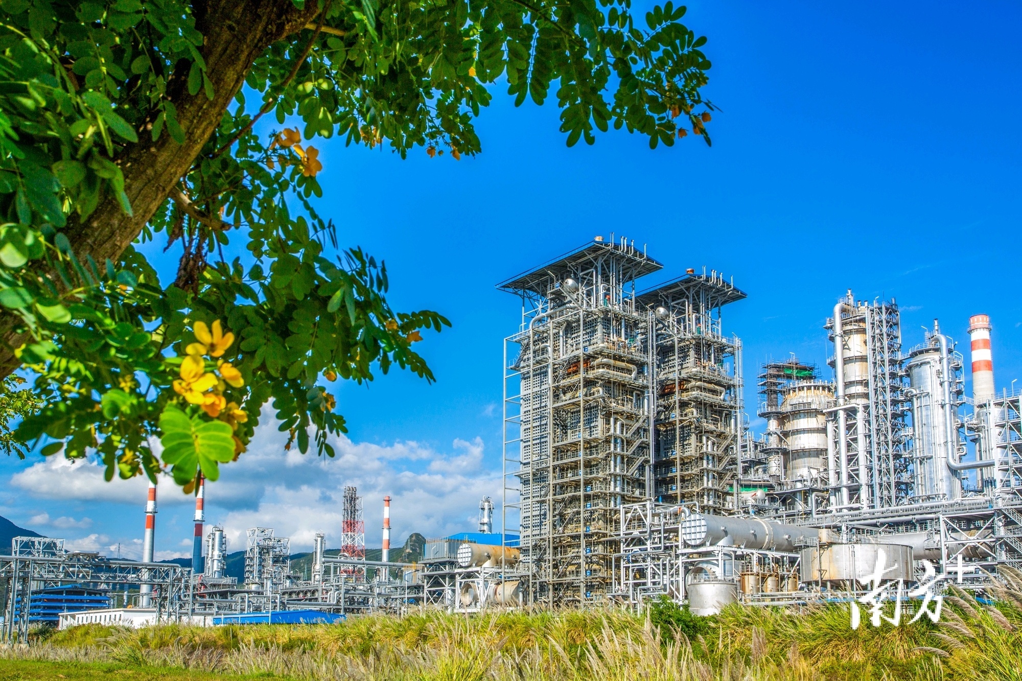 大亚湾石化区。大亚湾开发区供图 大亚湾石化区。大亚湾开发区供图