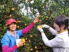 《南方》杂志社论：努力让广东父老乡亲生活步步高、喜洋洋