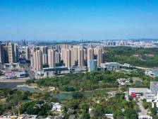 坪山区科技创新局局长黄鸣：构建全域全链特色创新生态体系