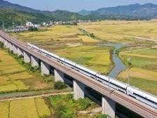 悦理轩：大党独有难题如何破