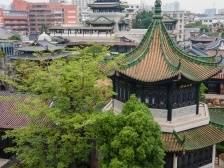 推进文化自信自强，以党的二十大精神引领广东文化强省建设