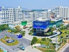 广州中大纺织服装产业：跨越八十公里的产业移植尝试