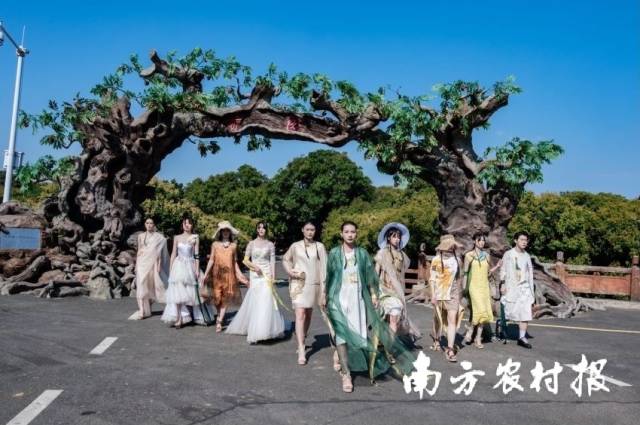 2022年高州荔枝赏花叹蜜游，一群大学生在根子贡园门口，进行了一场别开生面的时尚走秀。