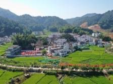 《南方日报·肇庆观察》：镇委书记打擂台首期亮相