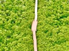 刘红兵：奋力书写中国式现代化的湛江新篇章