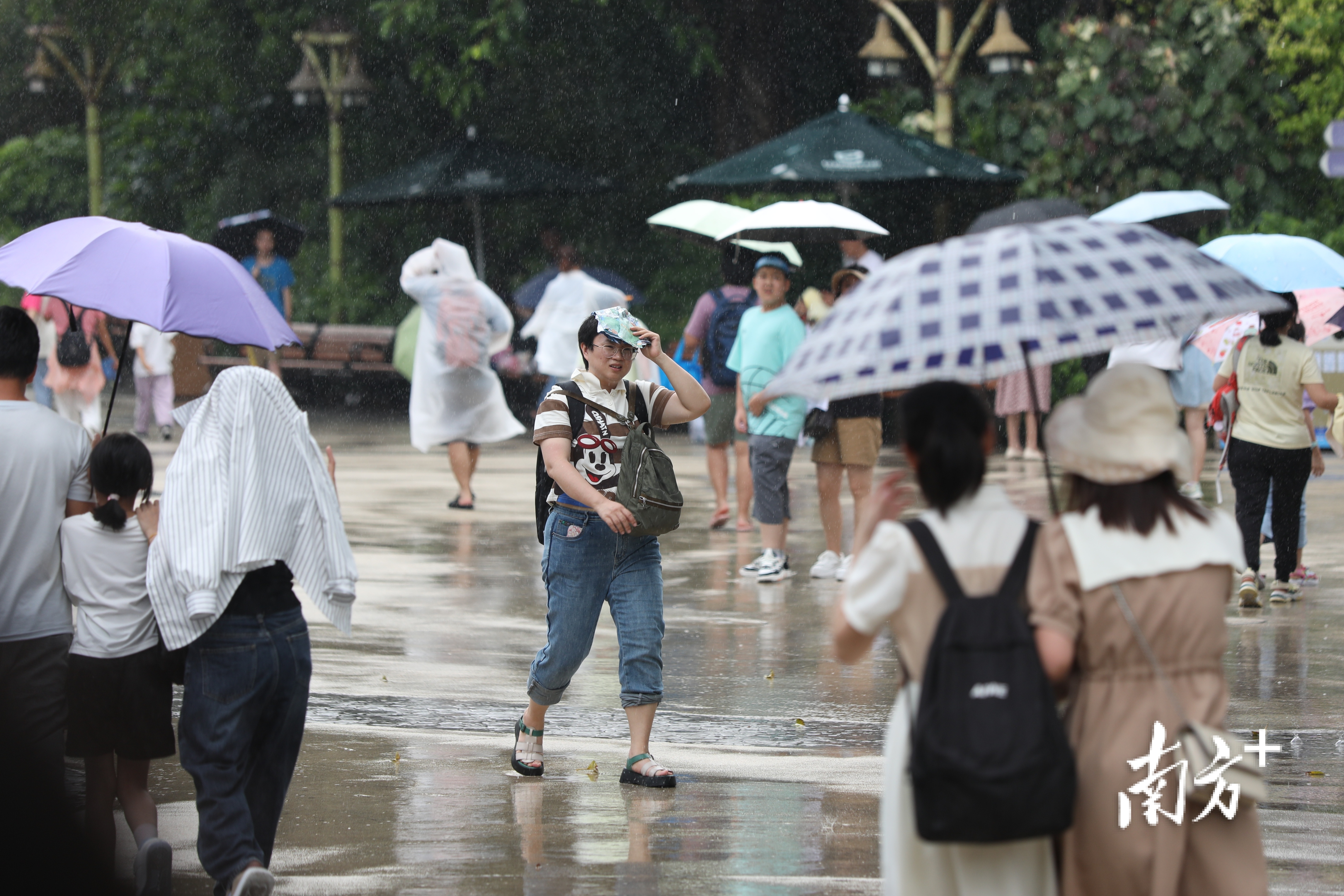 女子用纸挡住头发防止被淋湿。