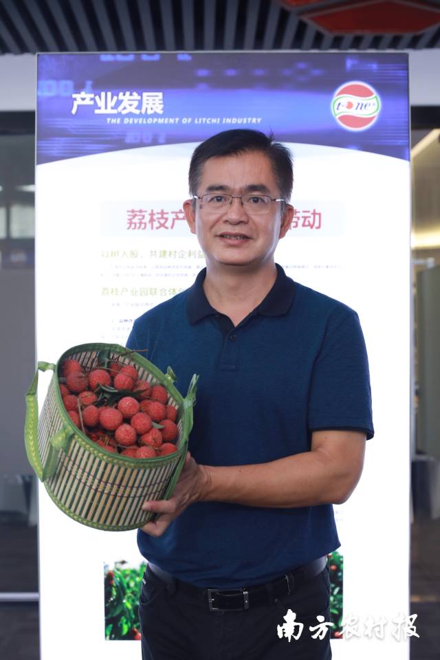 歐陽建忠是從化荔枝產(chǎn)業(yè)發(fā)展領(lǐng)軍人物