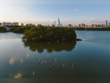 中秋佳节,恰逢海珠湿地11岁生日,明月下广州有这方水土