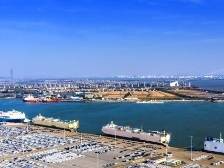 walk全球，中国汽车如何集赞？｜出海新机