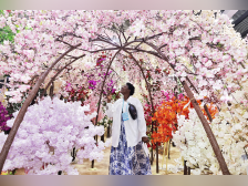 图集|广交会二期开展,线下展规模再创新高