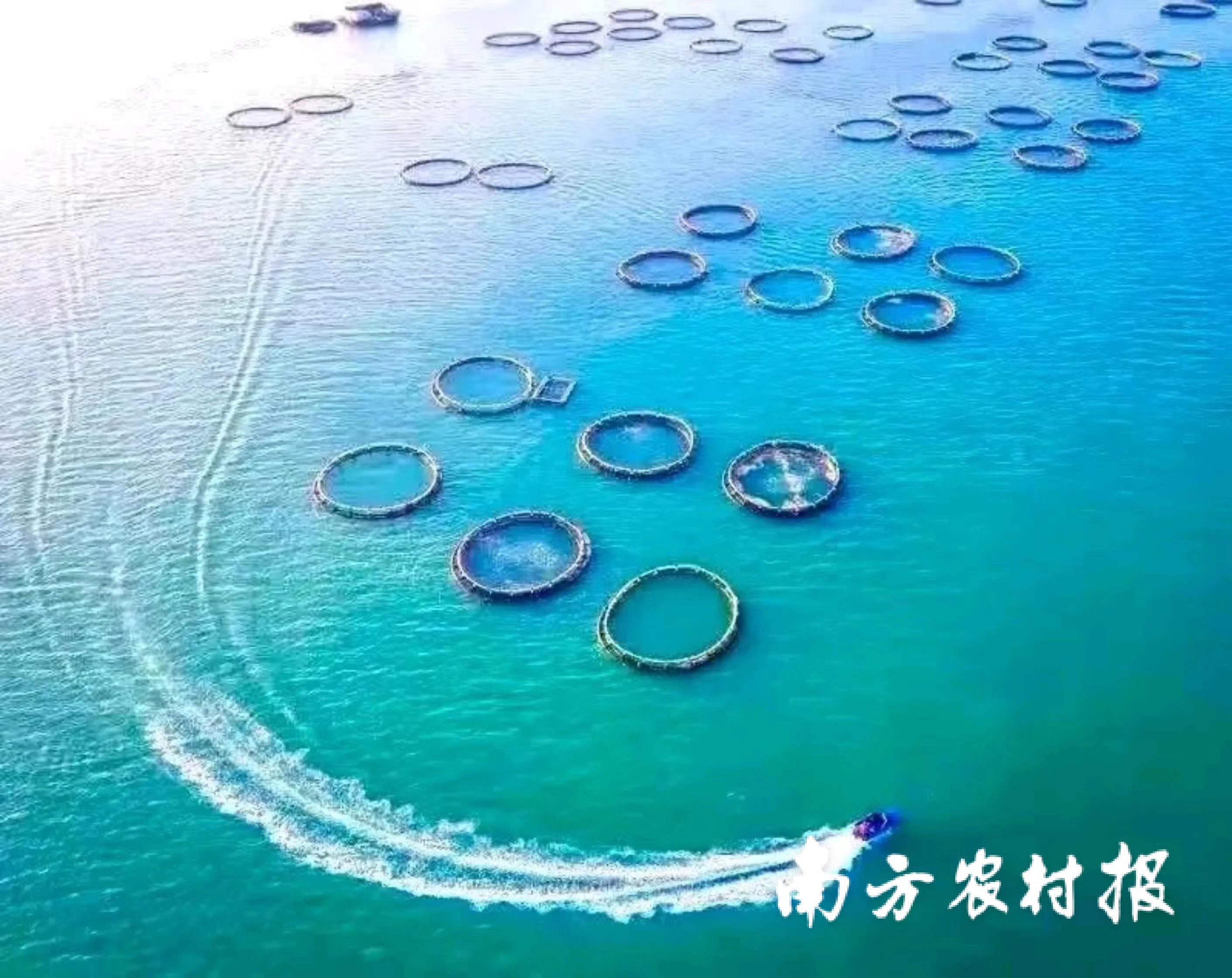 广东海洋牧场。