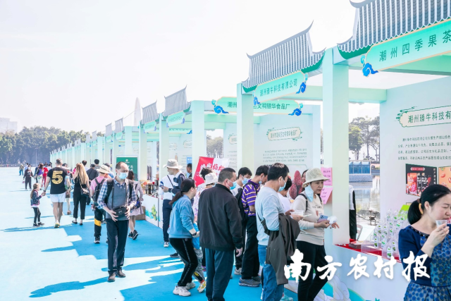 潮州是韩江流域著名城市，如今“潮州橄榄文化周”已是当地以橄榄产业为抓手全面推进乡村振兴重要举措