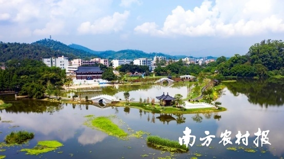 新兴县太平镇公园。