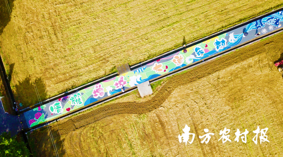 位于朱村街道的特别增城丝苗米省级现代农业产业园风景。