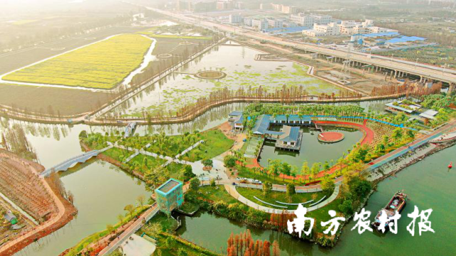 江海美丽乡村建设成绩喜人。&nbsp;