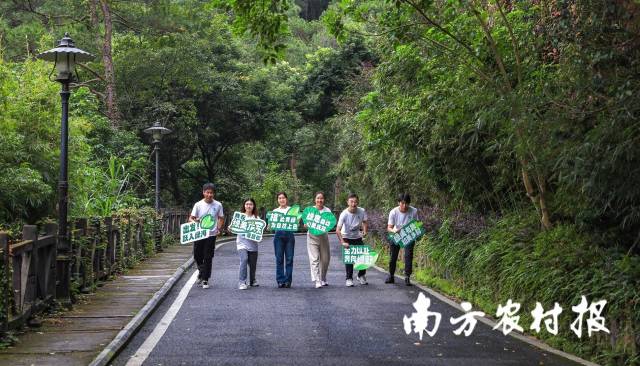10月29日上午，绿美广东公共服务平台上线发布会暨绿美广东定向越野体验赛活动在梅州举办。