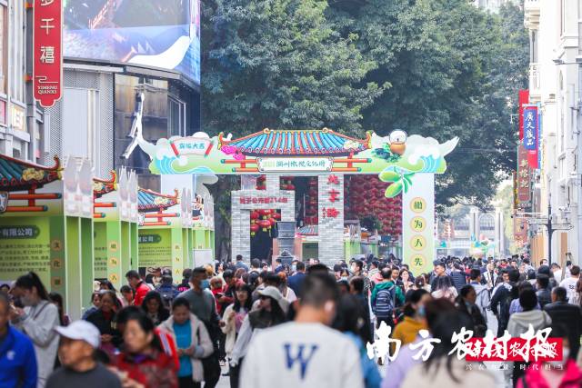 12月27日-12月29日，2023潮州橄榄文化周湾区展销活动在广州市北京路步行街举行，这是潮州文祠橄榄首次在大湾区核心城市热门商圈展销。