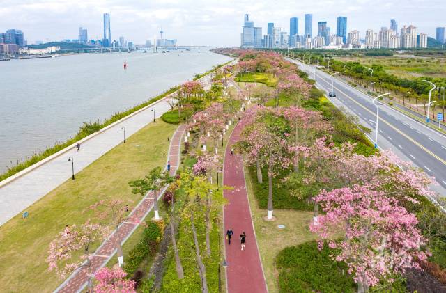 横琴花海长廊.钱文攀 摄