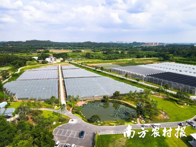 设施农业是广州市发展都市现代农业的一大助力，其将广州市农业生产的季节性优势进一步放大