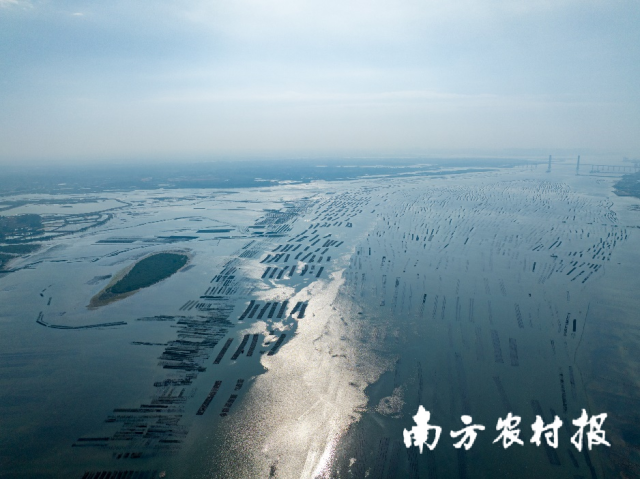 向海图强,湛江吹响海洋经济高质量发展号角。 向海图强,湛江吹响海洋经济高质量发展号角。