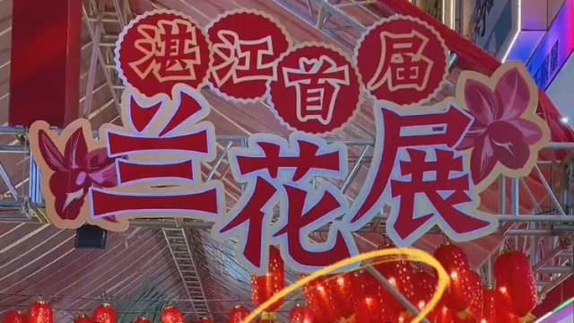 广东湛江邀你过大年：霞山首届兰花展邀你来畅游花海！