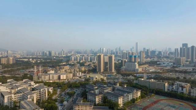 我的宝安蓝朋友 | 分好餐饮企业的“红黄绿”，只为更纯的“蓝”