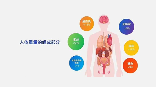 体检人体成分分析是什么一分钟告诉你，是虚胖还是strong？花都人医“人体成分分析项目”上线_https://www.jmylbn.com_新闻资讯_第8张