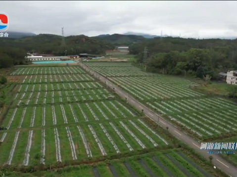 河源：新增10家市级“菜篮子”基地 保供稳价惠民生