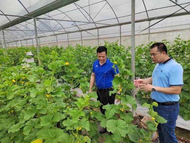 深调研 强对接 促发展——中山市人社局赴民众街道深入开展“人社局长千企行”活动