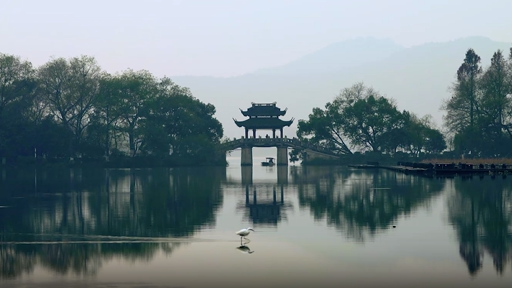 中国人，从哪里来？