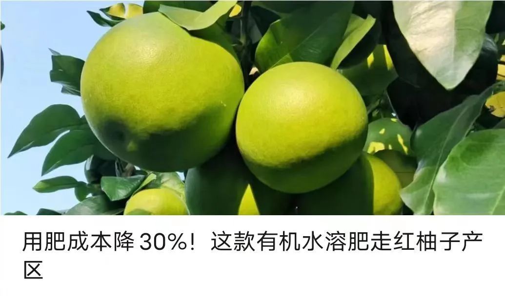鱼蛋白水溶肥：旺销背面啥隐秘？