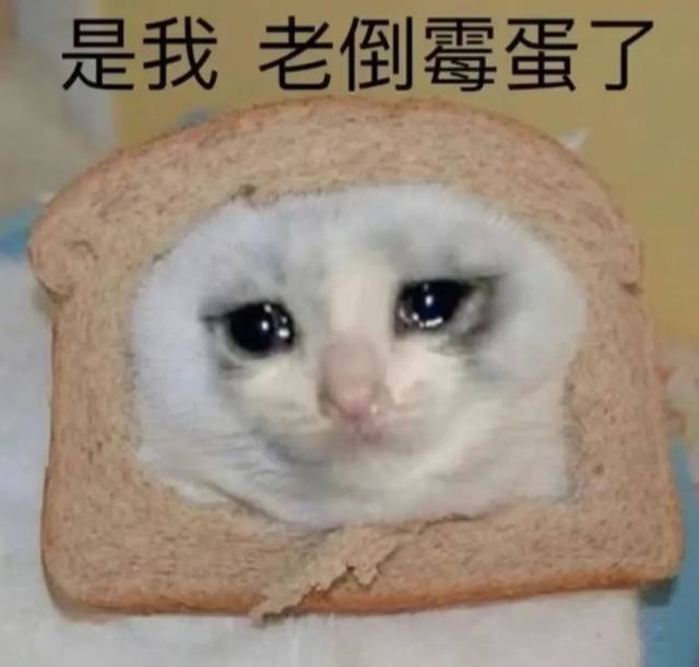 口腔器械盒怎么用注意 ｜ 责令改正！口腔诊疗消毒一定要做好这五点→_https://www.jmylbn.com_新闻资讯_第4张