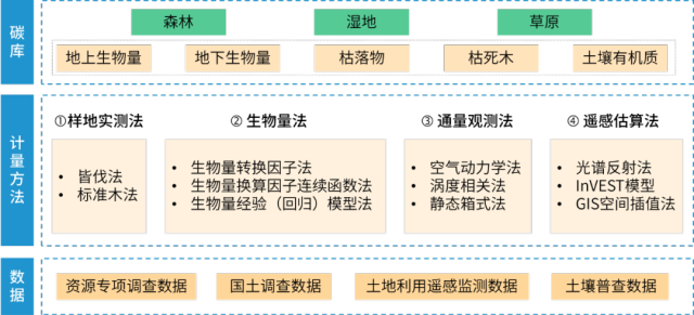 一文读懂生态系统碳汇如何监测核算?_南方+_南方plus
