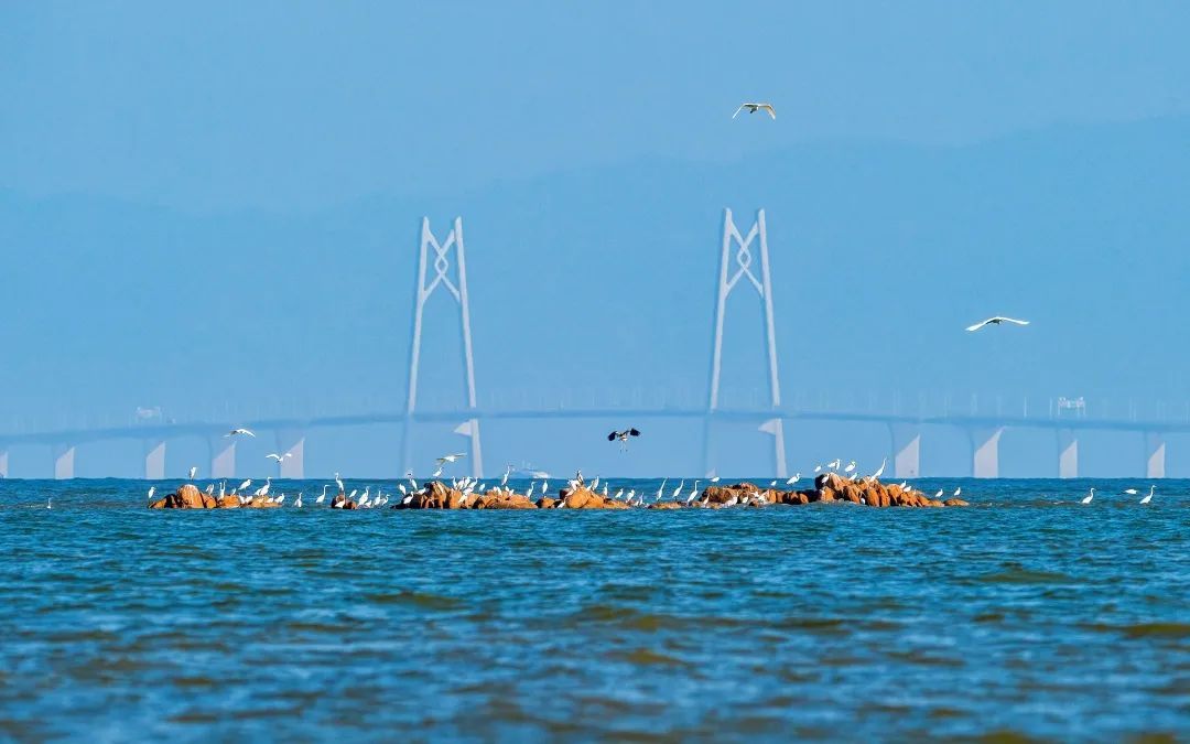 ▲图/高斯 ▲图/高斯