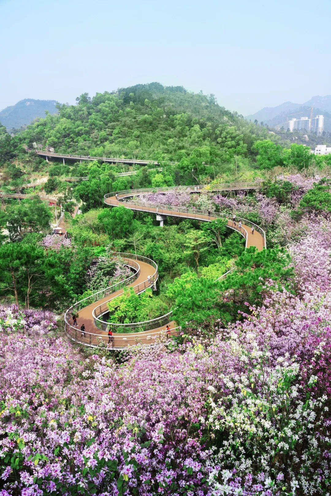 ▲图/谭卫华 ▲图/谭卫华