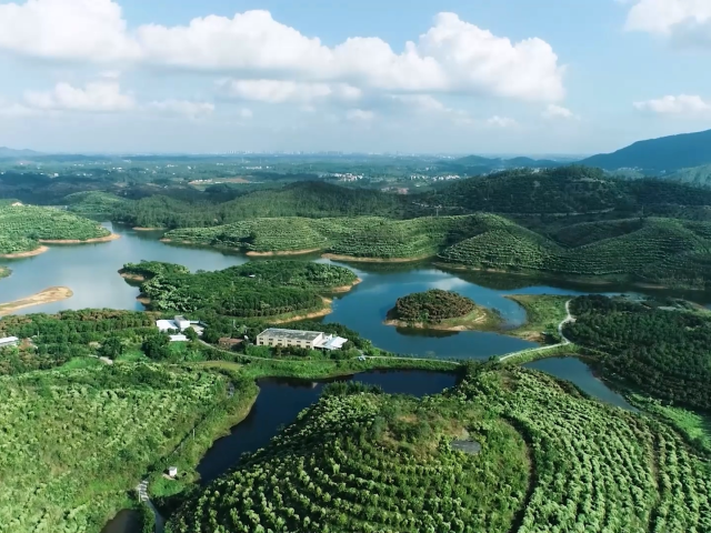 人大票决“退桉种果”让山区小镇绽新颜