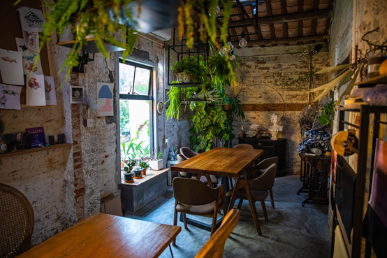 彭劲华 摄 彭劲华 摄