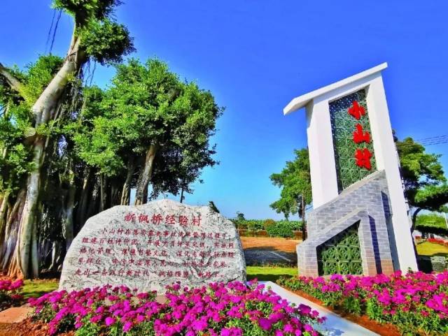 换个视角看秋天！佛山基层社会治理有效赋能“百千万工程”