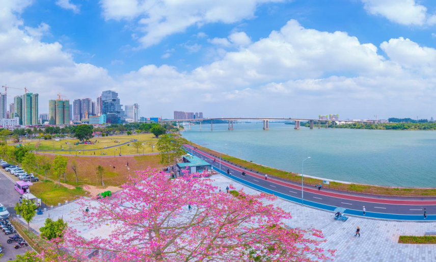 △秀美西江碧道。彭伟宗 摄