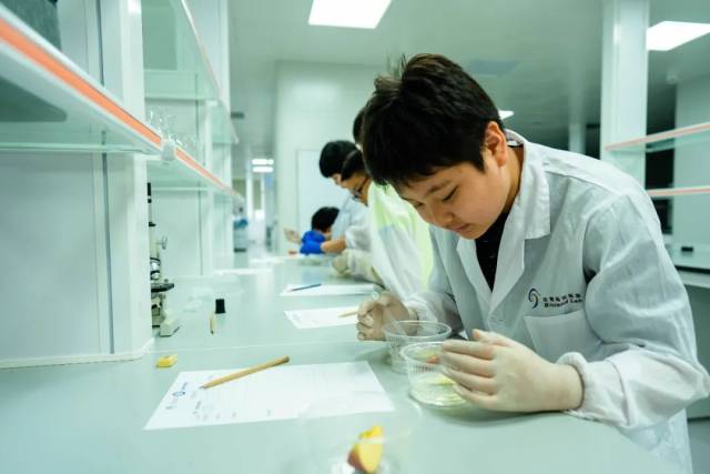 怎么鉴定呼吸套装真伪小小科学家丨食物中营养物质的鉴定_https://www.jmylbn.com_新闻资讯_第5张